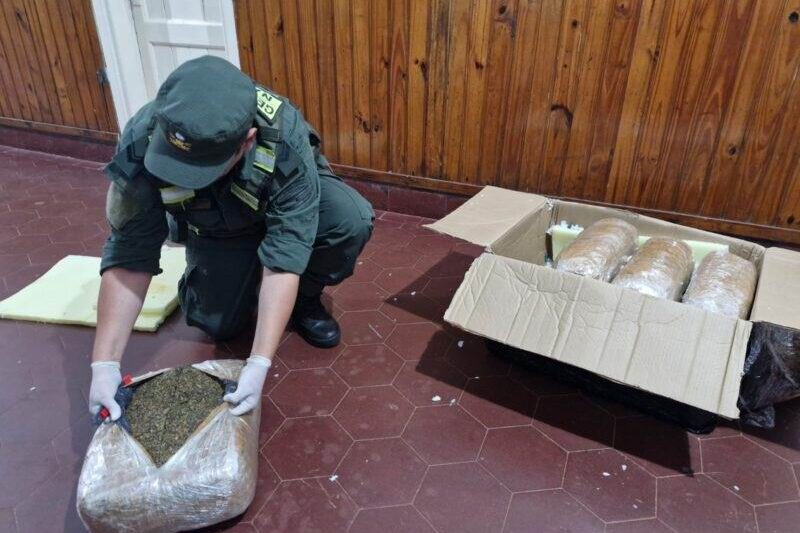 Abrieron una encomienda y encontraron marihuana valuada por más de 55 millones